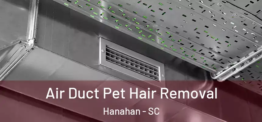 Air Duct Pet Hair Removal Hanahan - SC