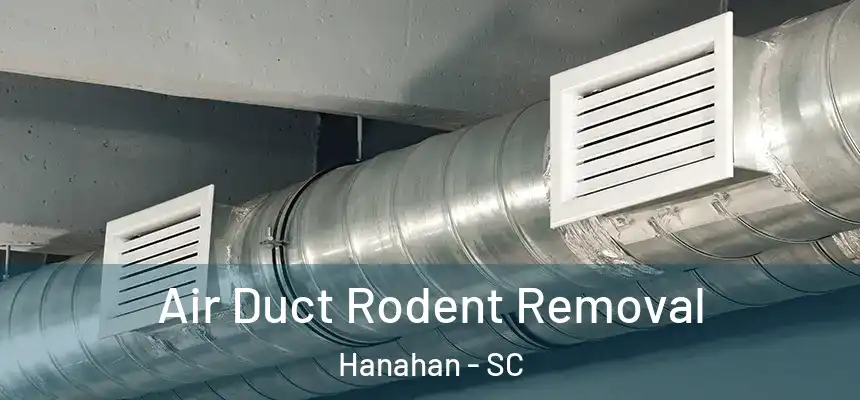Air Duct Rodent Removal Hanahan - SC