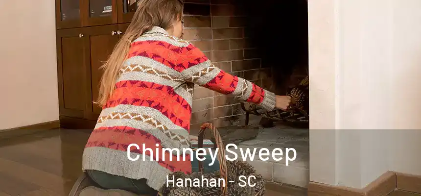  Chimney Sweep Hanahan - SC