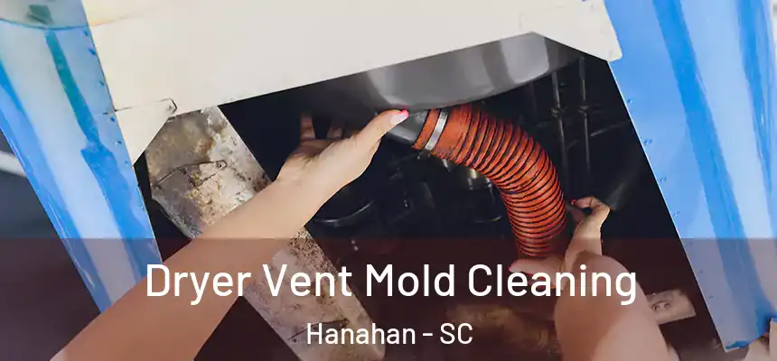  Dryer Vent Mold Cleaning Hanahan - SC