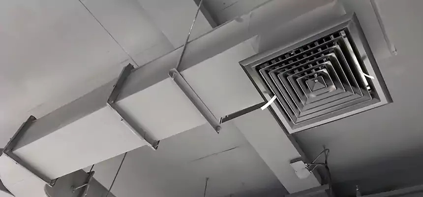 Restorative Allergy Relief Vent Cleaning – Coil, Blower & Housing Detail in Hanahan