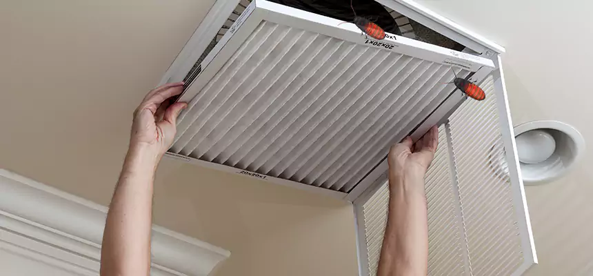 Our Insect Removal from Air Ducts Services in Hanahan, SC