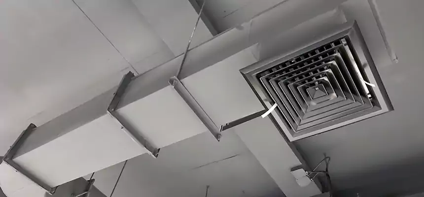 Our Pest Removal From Ducts Services in Hanahan, SC