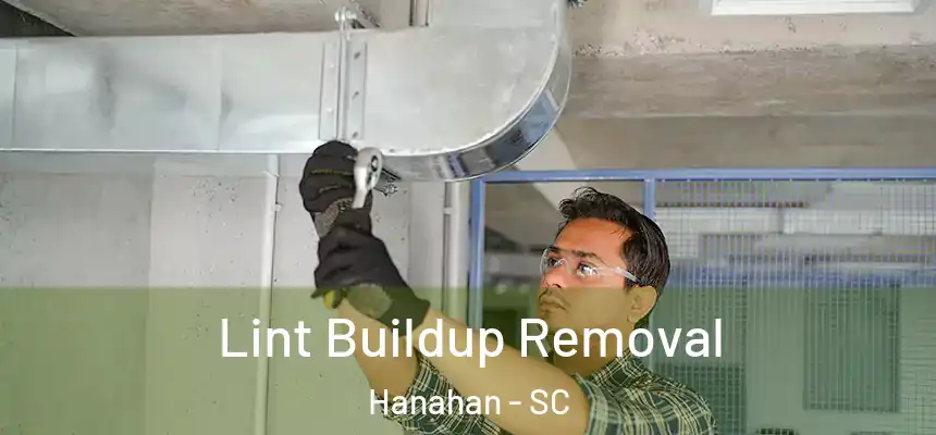  Lint Buildup Removal Hanahan - SC