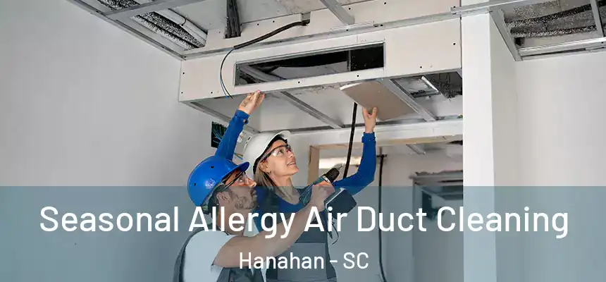 Seasonal Allergy Air Duct Cleaning Hanahan - SC