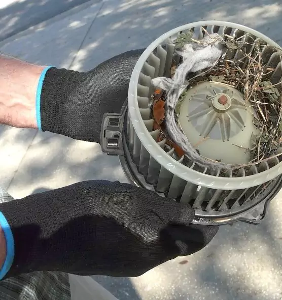 About Air Duct Mice Removal in Hanahan, SC