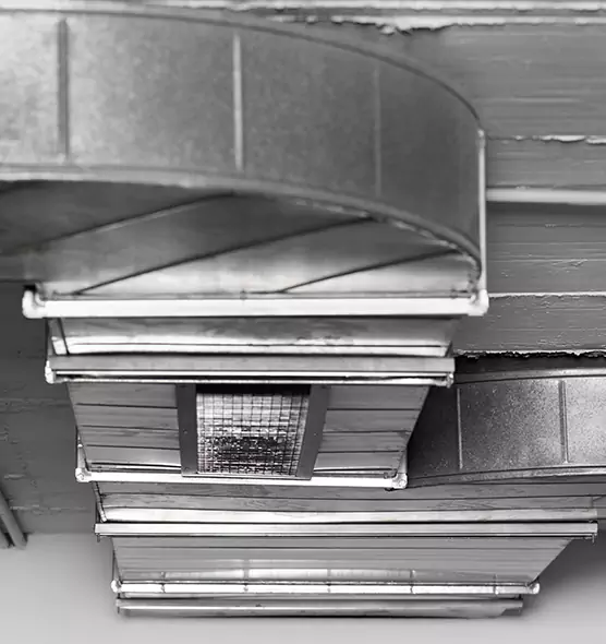 Professional Air Duct Pet Hair Removal in Hanahan, SC