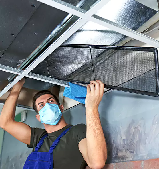 Professional Air Duct Pollen Cleaning in Hanahan, SC