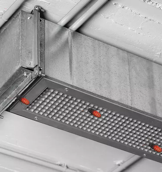 Affordable Insect Removal from Air Ducts in Hanahan, SC