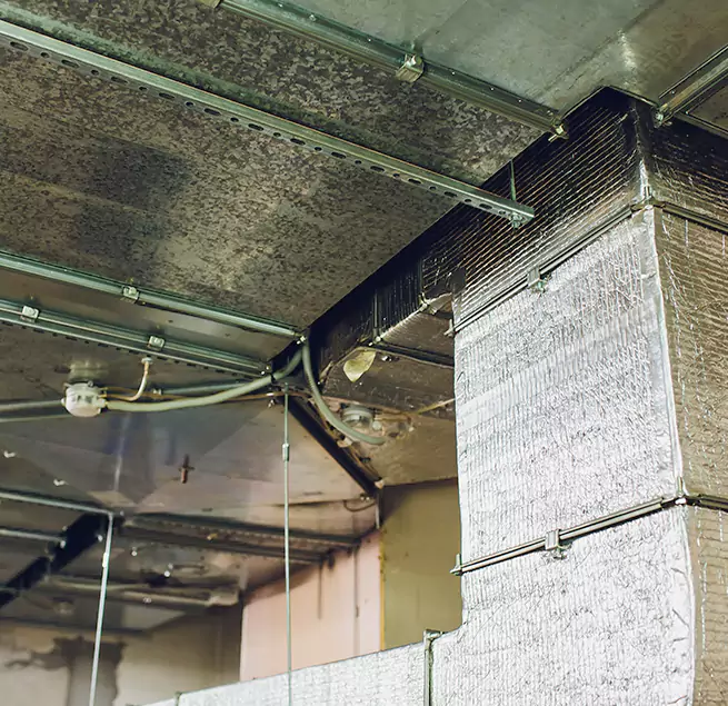 Why Homeowners & Businesses Trust Us in Hanahan, SC?